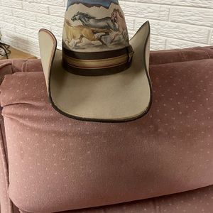 Hand painted Stetson. Well used can be shaped